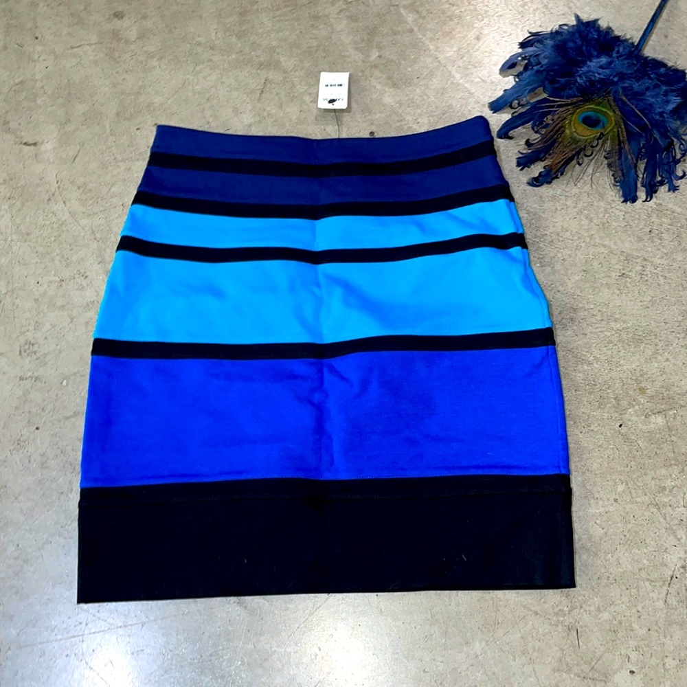 Woman’s Express skirt